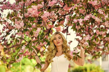 Bahar çiçeği açan ağaç. Kiraz ağacı. Çiçek aroması. Uyum ve kadın enerjisi. Bahar sembolü Çiçeklerin kadınları neden her zaman mutlu ettiğini. Mutlu bahar günleri. Kız bahçede sakura çiçeğinin tadını çıkarıyor..