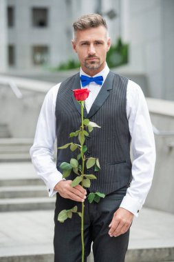 love day concept. tuxedo man with love rose. flower gift for love day.