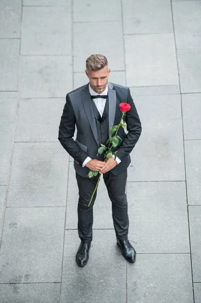 Engagement Date Hoary Tuxedo Man Celebrates Engagement Man Rose Gift — 图库照片
