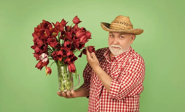 happy old senior man in hat hold spring tulip flowers on green background.
