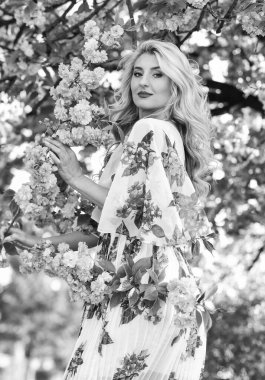 İyi görünümlü bahçıvan. yumuşak cilt bakımı. Kiraz ağacı bahçesinde sağlıklı bir kız. Klasik yaz modası. Parkta bahar doğası çiçek açar. Retro kadın sakura çiçeği kokusu alıyor. Spa ve güzellik tedavisi.