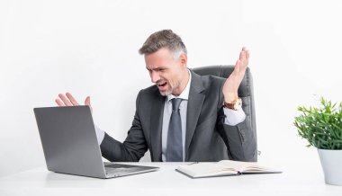 mature stressed boss shouting in business office.