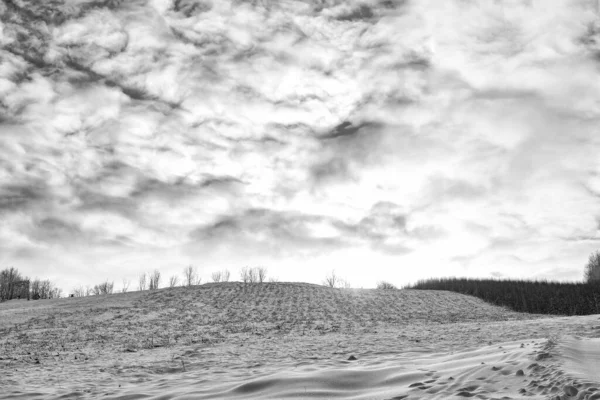 Wintry Landscape Covered White Snow Cloudy Sky Snowy Winter Scene — Stock Photo, Image