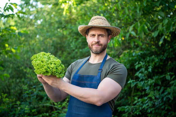 садовник в соломенной шляпе с листьями салата.