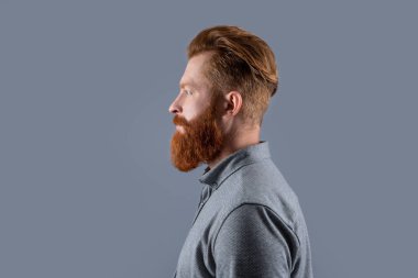 profile of bearded man with long beard isolated on grey background. studio shot of bearded man. beard care. handsome bearded man has beard.