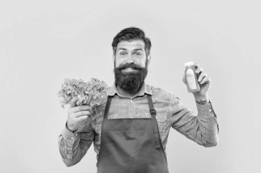 Önlüklü mutlu bir adam elinde taze marul ve meyve suyu şişesi, sarı arka plan, meyve suyu..