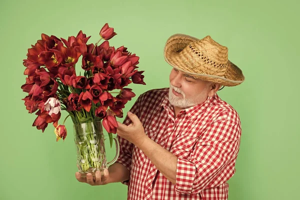 cheerful old senior man in hat hold spring tulip flowers on green background.