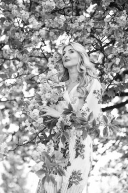 Uyum ve kadın enerjisi. Kiraz ağacı. İyi titreşimler. Çiçek aroması. Bahar çiçeği açan ağaç. Bahar sembolü Kız bahçedeki sakuranın tadını çıkarıyor. Çiçeklerin kadınları neden her zaman mutlu ettiğini. Mutlu bahar günleri..