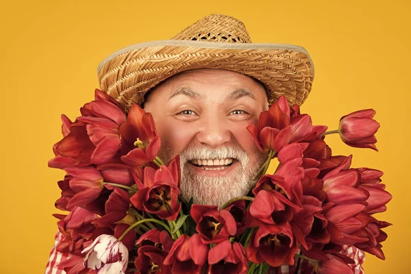 cheerful old retired man in hat hold tulip flower bouquet on yellow background.