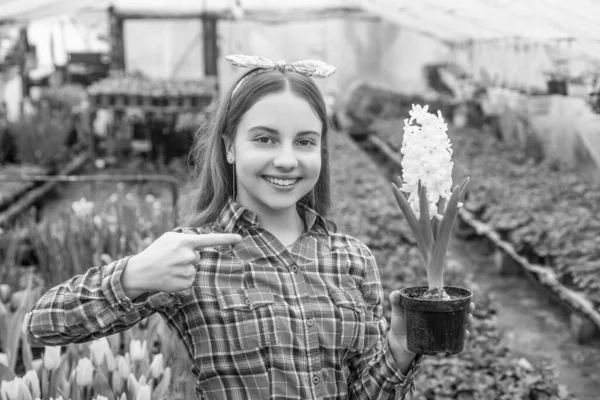 spring and summer. pointing finger on potted plants. child gardener. flowers in garden. daily chores. flower care. horticulture. gardening activity for kid. happy teen girl florist in greenhouse.