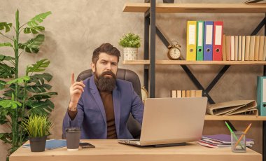 Ofisteki dizüstü bilgisayarda çalışan sakallı patrondan esinlenilmiştir. Profesyonel meslek..