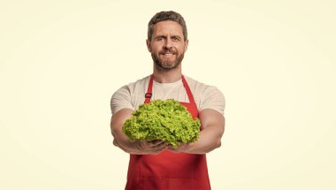 happy man in apron with lettuce vegetable isolated on white.