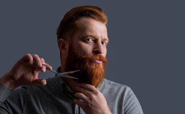man barber isolated on grey background. man with barber scissors in barbershop. barber man in barbershop studio. barber man hold scissors at barbershop. concept of barbershop.