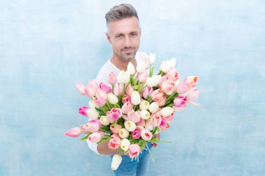 man with valentines tulips in studio, selective focus. man with valentines tulips isolated on blue background. photo of man with valentines tulips. man with valentines tulips.
