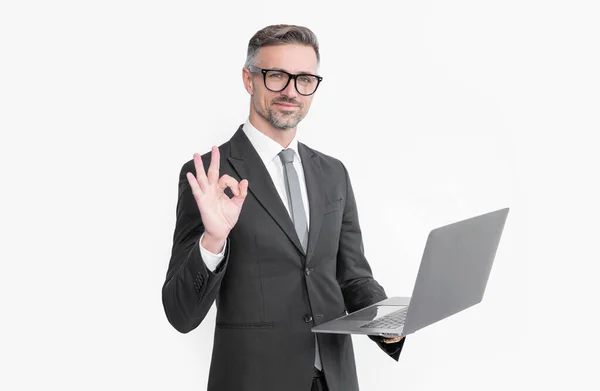 Positive Mature Businessman Working Laptop Isolated White Background — Stockfoto