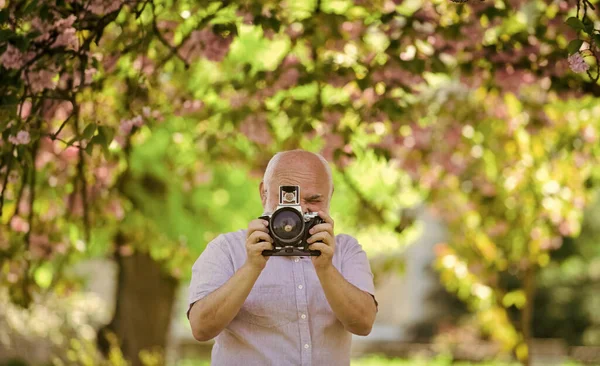 Photographer Taking Photos Famous Cherry Blossoms Spring Season Full Bloom — Stock Photo, Image