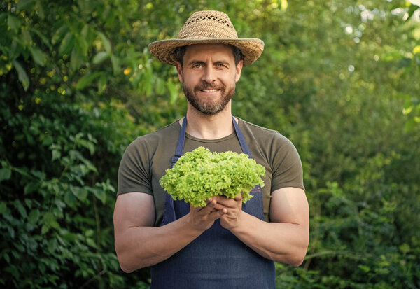 счастливый зеленщик в соломенной шляпе с листьями салата.