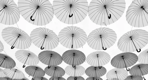Parapluie Décoration Rue Fond Ciel Bas Vers Haut — Photo