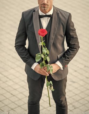 elegant man in tux. man wearing tux suit outside. cropped view of tux man with red rose.