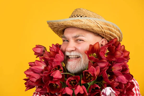 Feliz Velho Homem Aposentado Rosto Chapéu Segurar Flores Tulipa Primavera — Fotografia de Stock