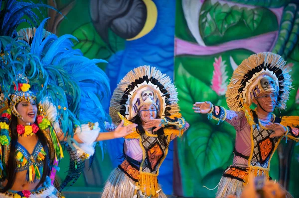 Паринтинс Бразилия Декабря 2015 Года Танцы Самбы Бразильских Плотоядных Танцоров — стоковое фото