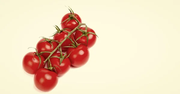 Organic Red Cherry Tomato Cluster Isolated White Copy Space — Fotografia de Stock