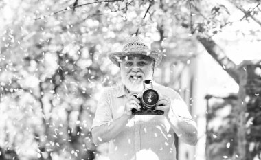 Bahar her yerde. Profesyonel fotoğrafçı tasarımcısı. Mutlu emeklilik. Turist, kamera kullanarak kiraz çiçeklerinin fotoğrafını çeker. Sakura çiçek fotoğrafçılığı. Yaşlı sakallı adam pembe çiçekleri fotoğraflıyor..