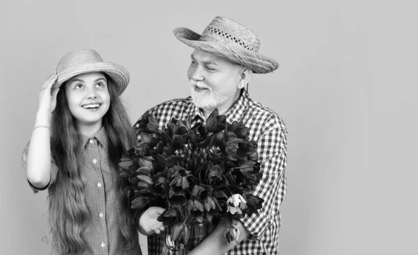 Velho Avô Feliz Com Neta Segurar Flores Tulipa Fundo Amarelo — Fotografia de Stock