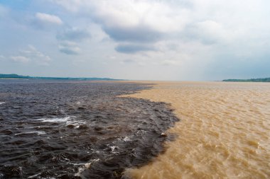 Amazon ve Rio Negro nehirlerinin doğal su manzarası, Brezilya. Doğanın sularla buluşan su manzarasının fotoğrafı. Nehrin doğal su manzarası. Seyahat yeri olarak doğa su manzarası.