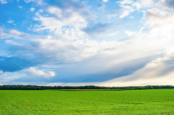 Countryside Landscape Outdoor Countryside Landscape Horizon Countryside Landscape Photo Countryside — Stock Photo, Image