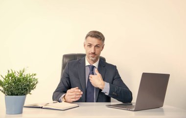 mature businessman sitting and presenting himself in business office.