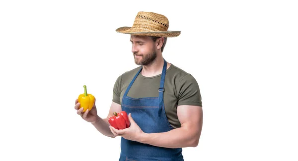 앞치마와 모자를 남자가 바탕에 채소를 — 스톡 사진