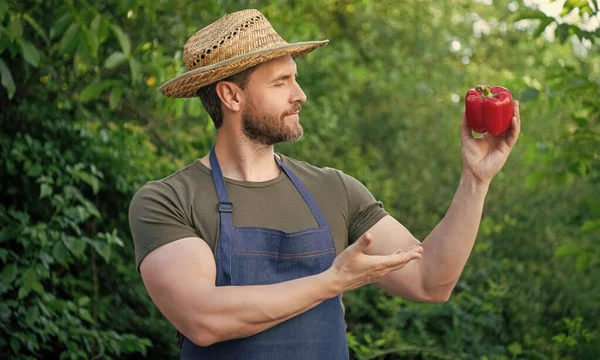 Man Greengrocer Straw Hat Presenting Sweet Pepper — Foto Stock