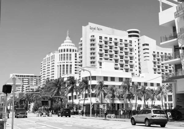 Miami Beach Flórida Eua Abril 2021 Palmeiras Reais Avenida Collins — Fotografia de Stock