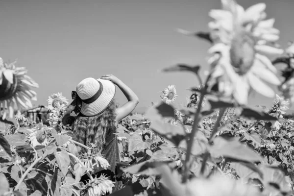 Hasır Şapkalı Tatlı Kız Ayçiçeği Çiftliğinde Yürüyor Yaz Tatillerinde — Stok fotoğraf