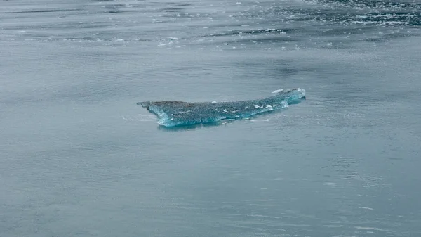 Arktický Ledovec Vodě Povaha Arktického Ledovce Fotografie Arktického Ledovce Arktický — Stock fotografie
