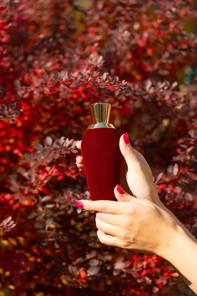 Rode Parfumeriefles Hand Het Presenteren Van Parfumeriefles Presentatie Parfumerie Product — Stockfoto