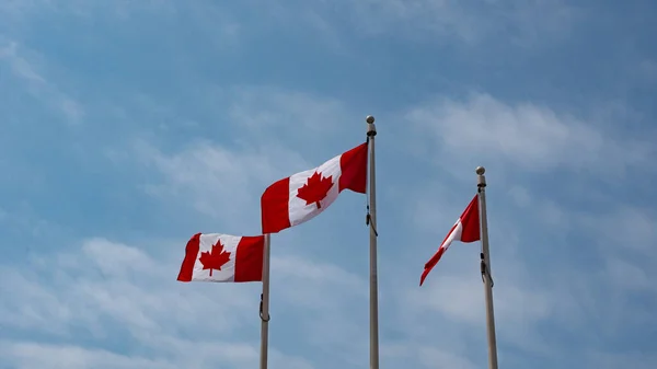 Bandera Canadá Canadá Hoja Arce Bandera Canadiense Canadá Bandera Canadiense —  Fotos de Stock