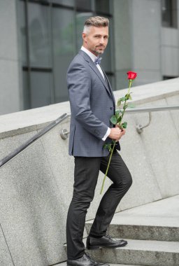 Sevgililer Günü konsepti. Sevgililer günü gülü olan smokinli adam. Sevgililer Günü için çiçek hediyesi. tam uzunluk.