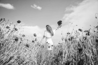 Kendini kaygısız hissediyor. Gelinciklerin arasında güzel bir bayan. Afyon. Mutlu kız bahar buketi topluyor. Çiçek tarlasında genç bir kadın. Doğanın güzelliği. Gelincik tarlasında bir kadın. yaz çiçeği çayırı.