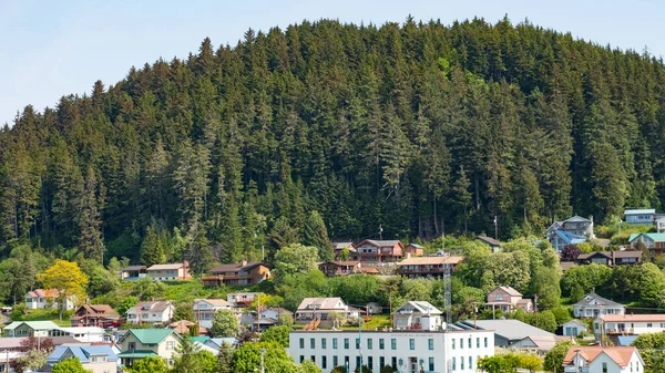 Bergslandskap Hus Stugby Vid Fjällfoten Berg Täckt Med Barrskog Naturskön — Stockfoto