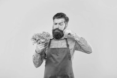 Önlüklü bir adam taze yaprak, kıvrımlı marul, sarı bıyık, manav....