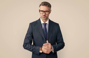 mature ceo wear businesslike suit on grey background.