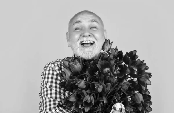 Alegre Velho Homem Sênior Com Barba Segurar Flores Tulipa Primavera — Fotografia de Stock
