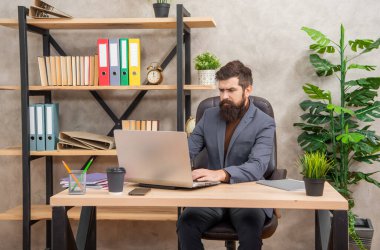 serious mature entrepreneur working on computer at office, business.