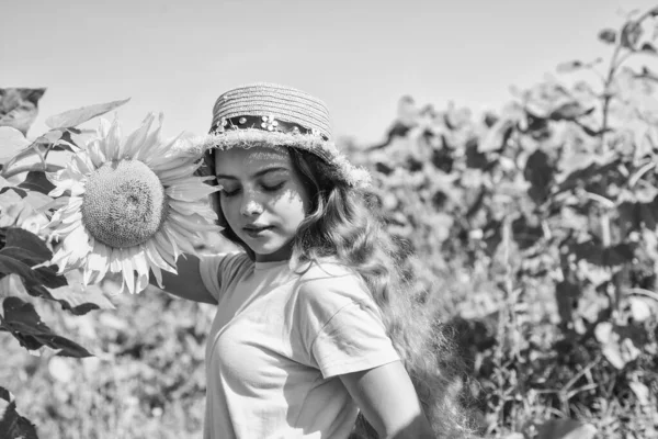 小さな女の子ひまわり畑青空の背景 村での子供時代 — ストック写真