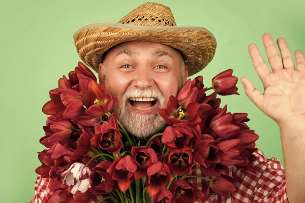 Glad Gammal Pensionerad Man Halm Hatt Hålla Våren Tulpan Blommor — Stockfoto