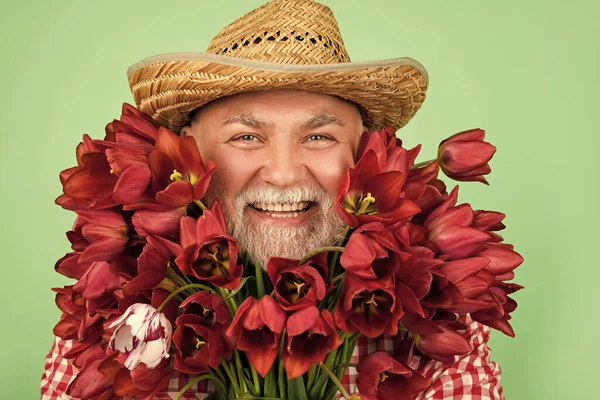 cheerful old retired man in straw hat hold spring tulip flowers on green background.