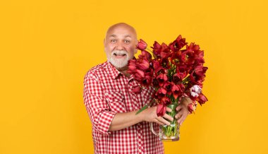 Sakallı yaşlı, pozitif yaşlı adam sarı arka planda bahar lale çiçekleri tutuyor..