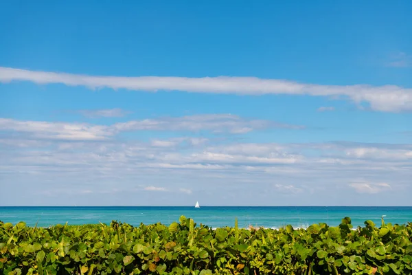 在迈阿密与游艇共度暑假的地平线 — 图库照片